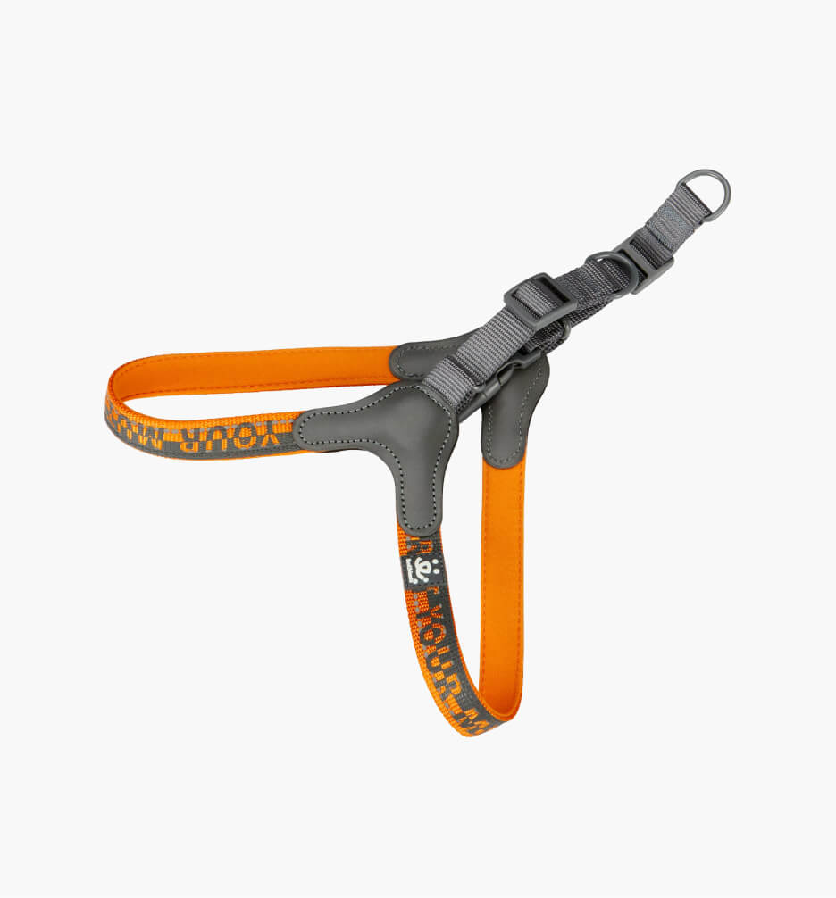 Dog Harness-Neoprene Comfort Liner-Orange and ...