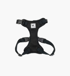 Dog Harness-Neoprene Comfort Liner-Orange and Comfort